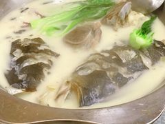 筒骨鱼头汤-新天明砂锅鱼头煲