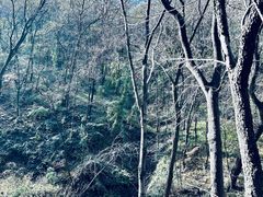 -终南山国家森林公园