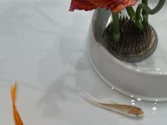 -宴昆山·私房菜(春晖店)