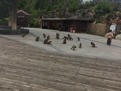 -重庆云阳龙缸景区