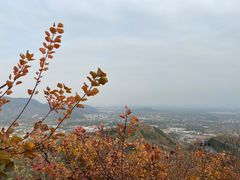 -香山公园