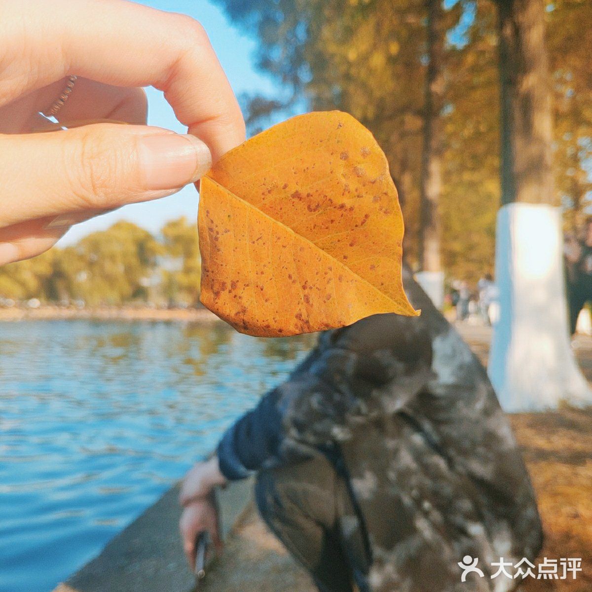 烈士公园原来可以这么美[亲亲]