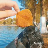 烈士公园原来可以这么美[亲亲]