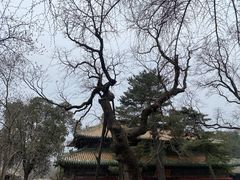 -潭柘寺景区