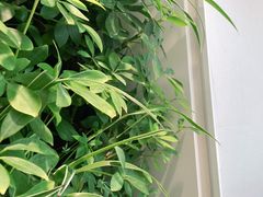 -好利来(光华中心店)