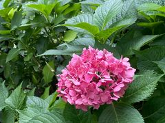 -苏州香山国际大酒店