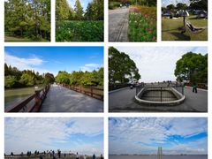 -上海滨江森林公园