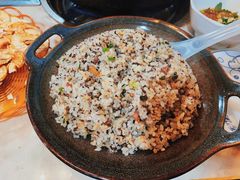 -蘑统田下·野生菌火锅