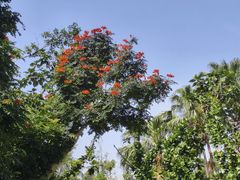 -白沙门生态公园