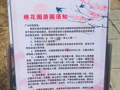 -桃花堤公园