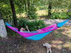 -铁山坪森林公园