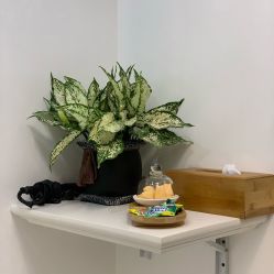 -OnHair造型