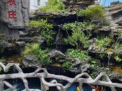 -华园农庄·特色炭烧鸡·北江河鲜