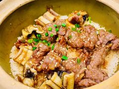 -红星光发煲仔饭(文海店)