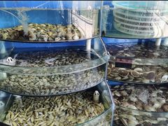 -蓝珊甄选海鲜自助·火锅大排档(近阿那亚店)