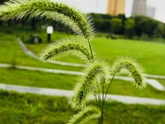 -昆山隆祺国际饭店