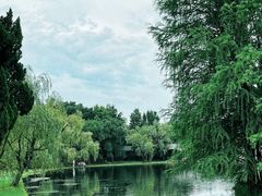 -上海共青森林公园