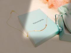 -Tiffany & Co.蒂芙尼
(杭州万象城店)