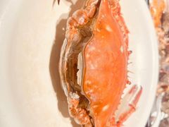-单家老院·院子里的青岛菜(沙子口店)