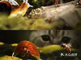 睿睿的冒险之旅| 创意微缩摄影作品