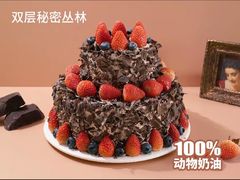 -维尔纳斯·生日蛋糕·动物奶油冰淇淋蛋糕(六里桥店)