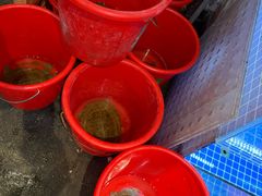 -小小饭店·休闲农庄·安吉松树林里的农家菜