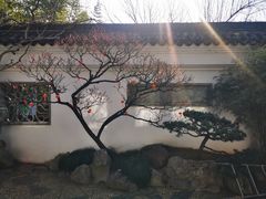 -南园(太仓市)