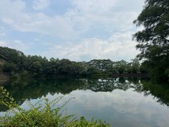 -王借岗森林公园