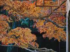 -虎跑公园
