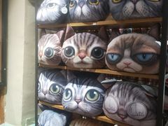 -猫咪博物馆(顶澳仔猫街店)