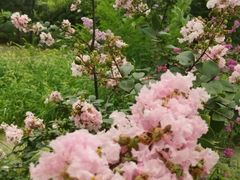 -回龙观体育文化公园