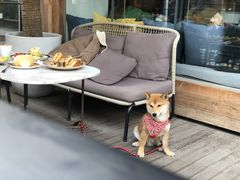 -the rug 飞毯 (朝阳公园店)