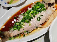 -金泽大酒店·卢塞恩餐厅·年夜饭春节连市