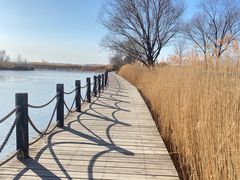 -野鸭湖国家湿地公园