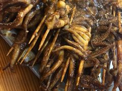 -十里铺铁板鱿鱼