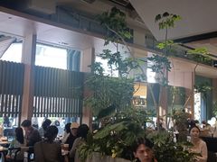 -gaga(深圳福田星河COCO Park店)