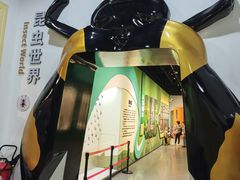 -国家自然博物馆