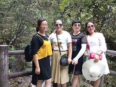 -九龙江国家森林公园