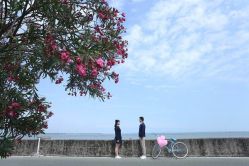 点击看大图 -古摄影婚纱