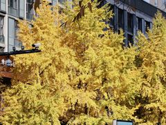 -杭州半山国家森林公园