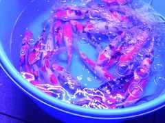 -华声天桥民俗文化园