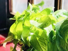 -中山路壹号传奇club·啤酒花园餐厅