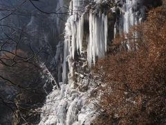 -少华山国家森林公园