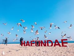 -海云台海滩