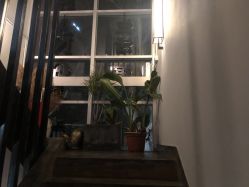 -苗方清颜·祛痘皮肤管理