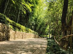 -杭州半山国家森林公园