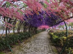 -张公山寨景区