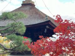 -常寂光寺