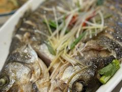 -鑫渔港海鲜本地菜·山海关浑锅(东戴河店)