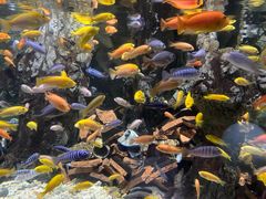 -太平洋海底世界